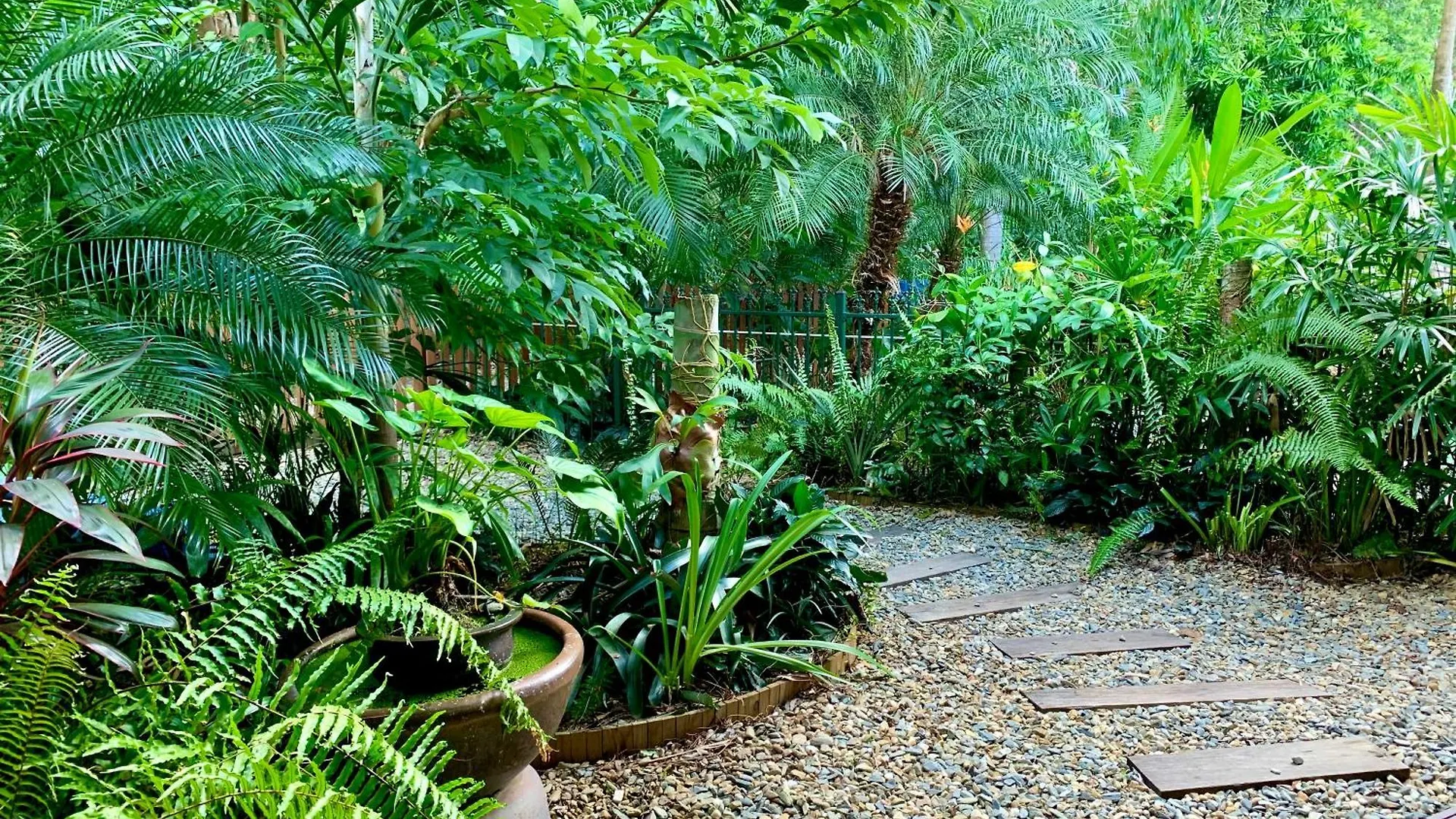 Tropical Paradise Luxury Home Kewarra Beach Vakantiehuis