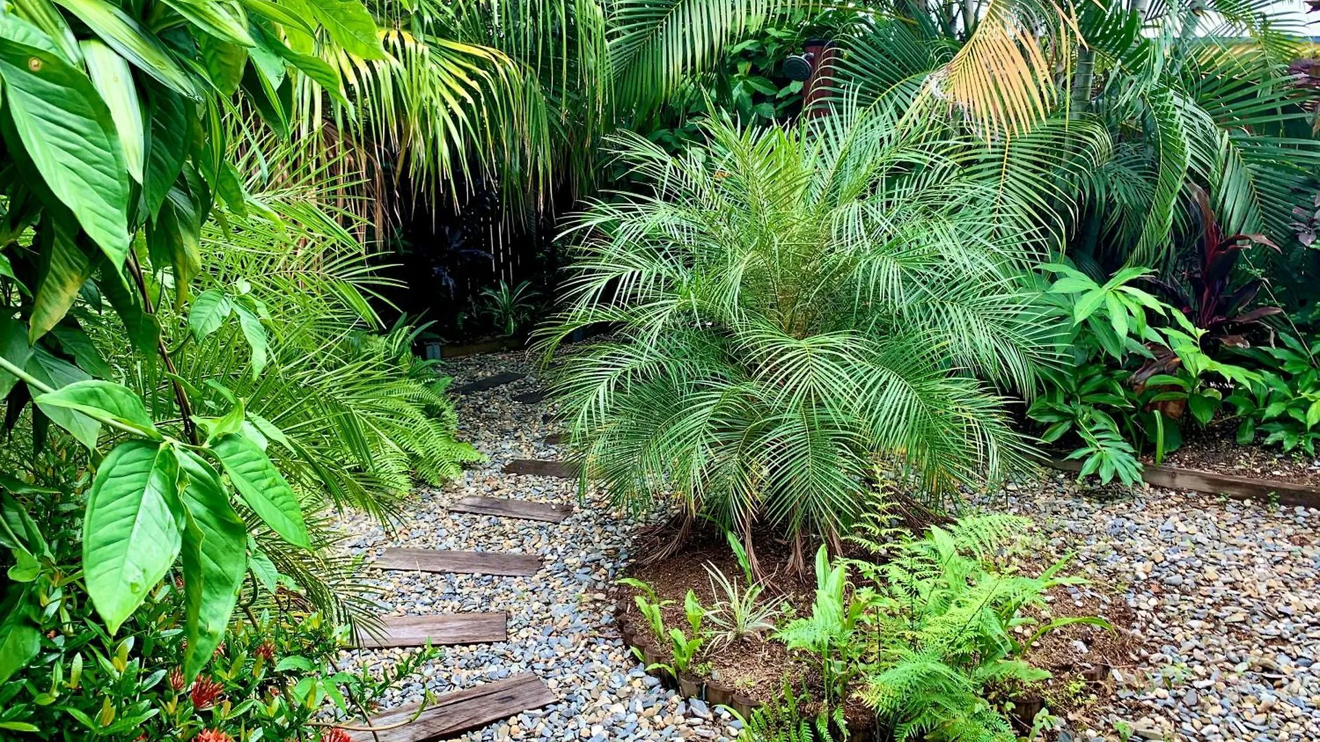 Vakantiehuis Tropical Paradise Luxury Home Kewarra Beach